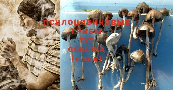 СК Лихославль