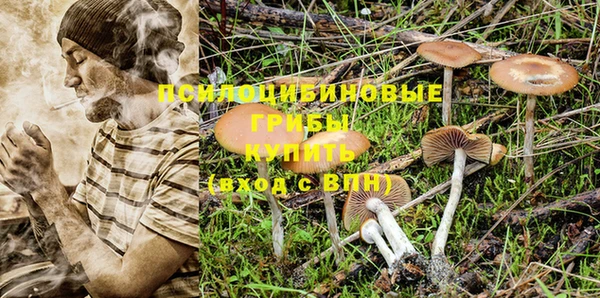 кокаин колумбия Лиски