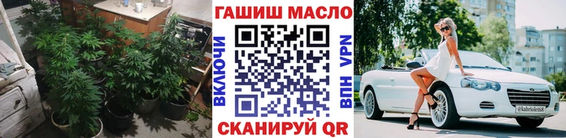 ТГК концентрат  Купить где  Безенчук 