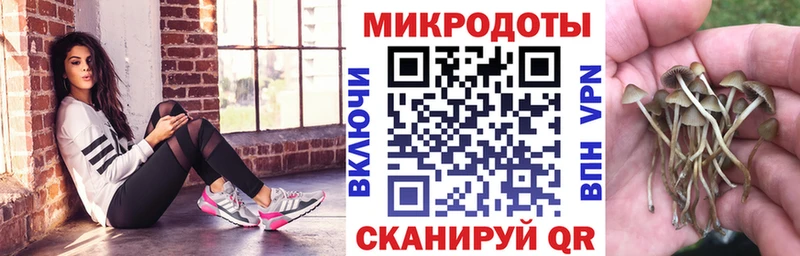 Купить  Безенчук  Галлюциногенные грибы мухоморы 