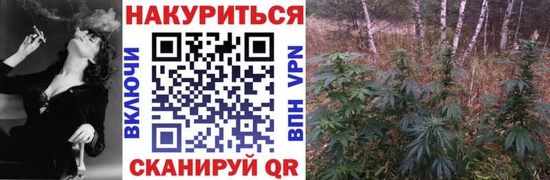 Купить  Безенчук  Конопля гибрид 